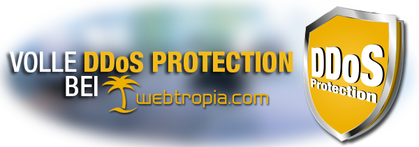 DDoS_Protection